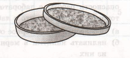Задание рисунок 1