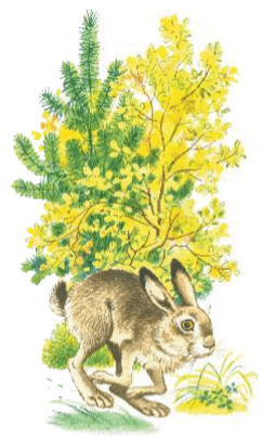 Задание рисунок 1